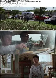 A Perfect World (1993)