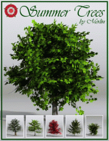 Summer Trees