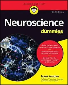 Neuroscience For Dummies, 2nd Edition (repost)