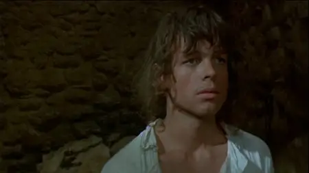 Pirates (1986) 