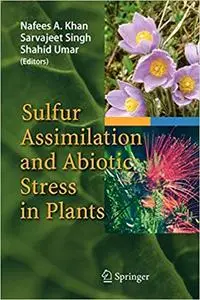 Sulfur Assimilation and Abiotic Stress in Plants