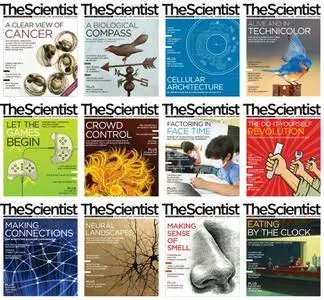 The Scientist - Full Year 2013 Collection (Repost)