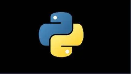 Python Programming Professional Course