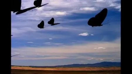 Aural Float - Moving Images (2007)