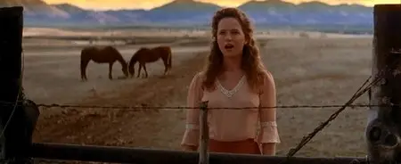 The Fantasticks (1995)