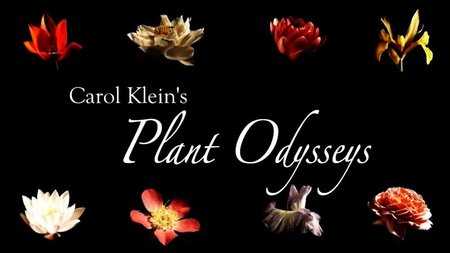 BBC - Carol Klein's Plant Odysseys Series 1 (2015)