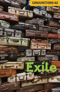 «Exile» by Lance Olsen, Laura van den Berg, Maxine Chernoff, Peter Straub, Robin Hemley