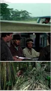 Sorcerer (1977)
