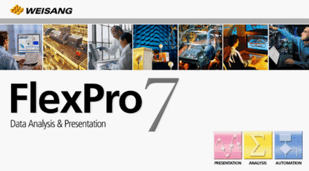 Weisang FlexPro 7.0.24