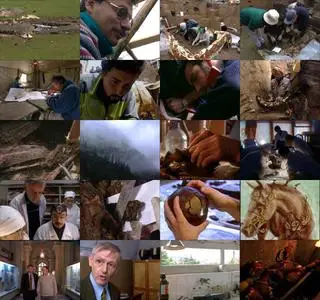 The Tomb of the Scythian Prince (2017)