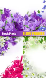 Stock Photo - Flower Frames
