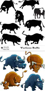 Vectors - Various Bulls