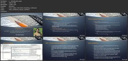 Sap Mdg - Ui, Fpm, Adaptations, Derivations And Validations