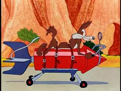 Wile E. Coyote and Road Runner (46 series, 1949-2003)