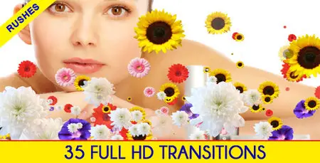 Editors Transition Pack - Motion Graphics (VideoHive)