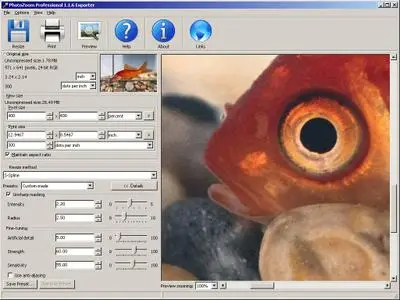 PhotoZoom Professional  version 1.28