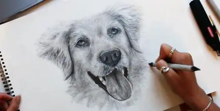 How to Draw Realistic Pet Portraits: Dogs