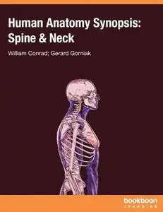 Human Anatomy Synopsis : Spine & Neck