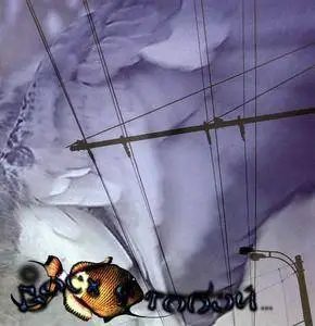 Босх с Тобой (Bosch's With You) - 2 Studio Albums (2004-2005)