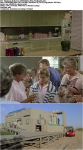 Weekend At Bernie's (1989) [Reuploaded]