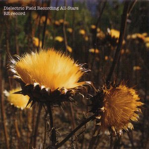 The Dielectric Field Recording All-Stars - RE:record (2007) {Dielectric} **[RE-UP]**