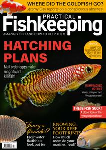 Practical Fishkeeping - November 2023