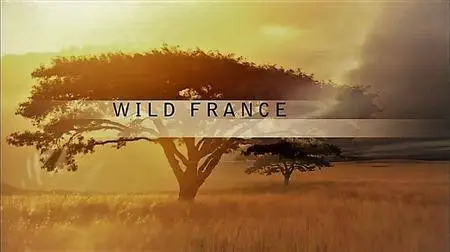 PBS Nature: - Wild France (2015)