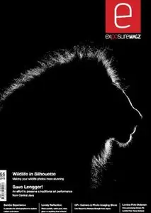 Exposure - February 2013