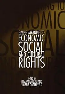 Giving Meaning to Economic, Social, and Cultural Rights