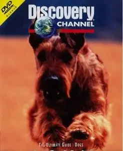 Discovery Channel - Dogs: The Ultimate Guide