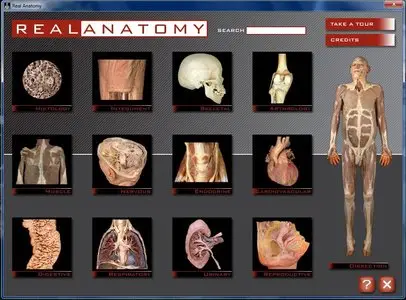 Real Anatomy Software DVD 1.0