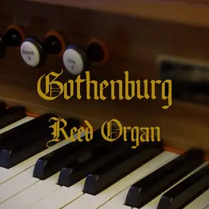Precisionsound Gothenburg Reed Organ MULTiFORMAT