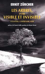 Ernst Zürcher - Les arbres, entre visible et invisible