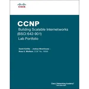  CCNP Building Scalable Internetworks (BSCI 642-901) Lab Portfolio (Repost) 