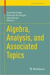 Algebra, Analysis, and Associated Topics