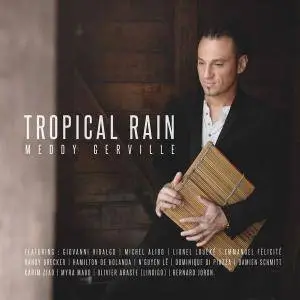 Meddy Gerville - Tropical Rain (2017) {Dot Time Records}