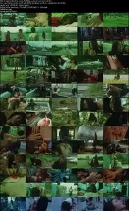 A Gap in the Skin (2005)