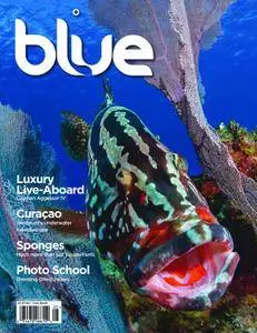 Blue Magazine - May 01, 2014