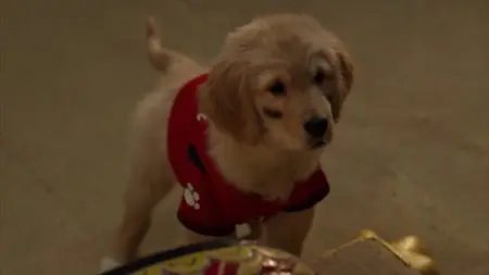 Treasure Buddies (2012)