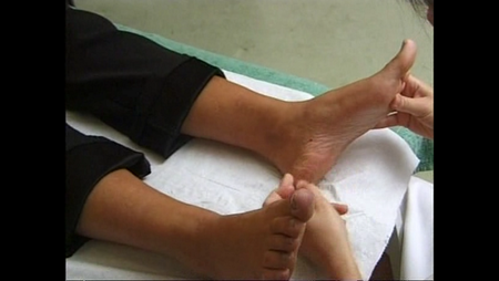 Swiss Reflexology - A Step By Step Guide (2009) (Repost)