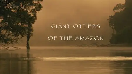 BBC - Natural World: Giant Otters of the Amazon (2013)