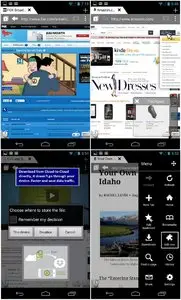 Puffin Web Browser v3.0.10439