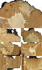 Bleached Burned Cardboard Photo Stock