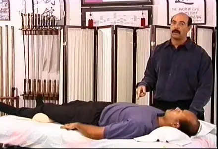 Chinese Medical Qigong Therapy - Medical Qigong Energy Techniques and Qi Emittion Methods