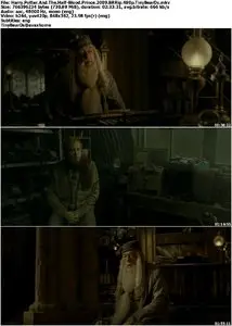 Harry Potter And The Half-Blood Prince (2009) [Reuploaded]