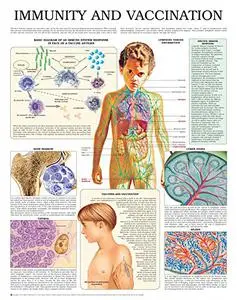 Immunity and vaccination e chart: Full illustrated