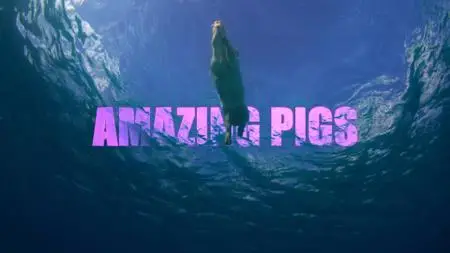Amazing Pigs (2019)