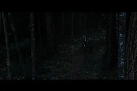 The Twilight Saga: Breaking Dawn - Part 2 (2012)