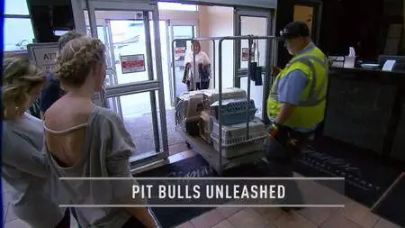 CBC - The Fifth Estate: Pit Bulls Unleashed (2017)