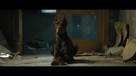 DogMan (2023)